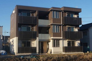 コージー　サクラ