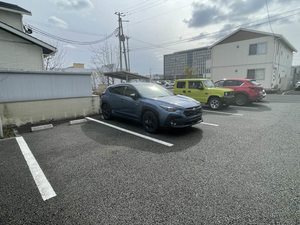 Ｃｉｔｒｉｎｅ 101号-12
