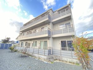 セルディーナＹＳ 101号-1