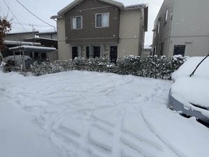 シャーメゾンｆａｍ 102号-12