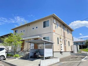 ルピナス　Ｂ B202号-1