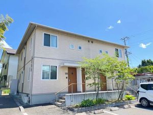 ルピナス　Ｂ B201号-13