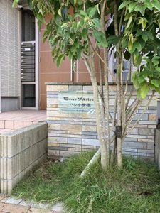 ベレオ横塚 203号-12