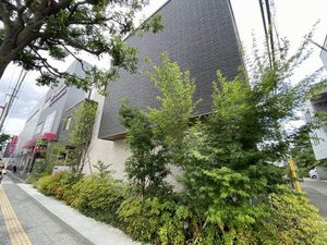 Ａｂｂａｎｄｏｎｏ 103号-12