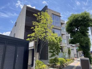 アルト　フォンテ