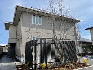 シャーメゾンすみれ