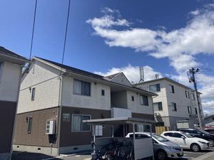 コンフォータブル　Ｂ B103号-1