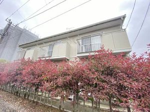 プチ・ラフォーレ 103号-12