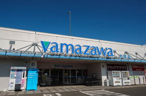 エバーグリーンＭ 201号-13