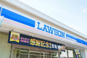 ハイネス山の寺 203号-14