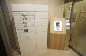 メゾンマスト名須川Ｃ棟 C301号-13