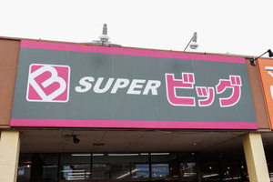 フォーブル銀杏Ｂ 203号-14