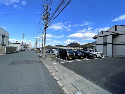 パースニップ・ｆ 103号-15