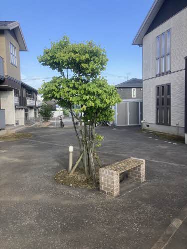 Moon Villa B201号-4