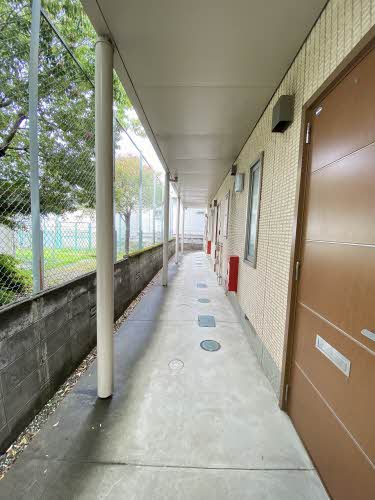 プリーマ ドルフA A202号-13
