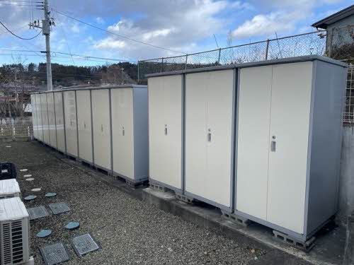 ルピナス　Ａ A205号-6