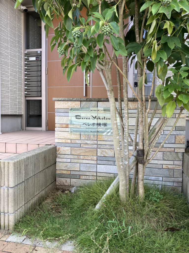 ベレオ横塚 203号-12