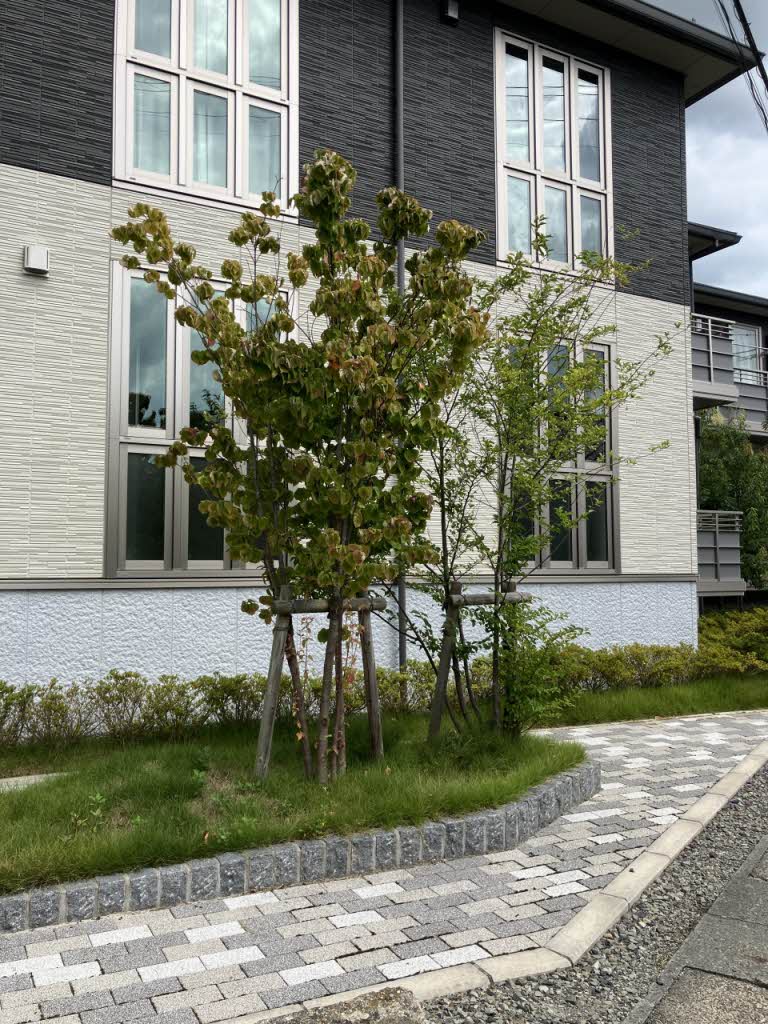 フィオレンティーナＦ 101号-12