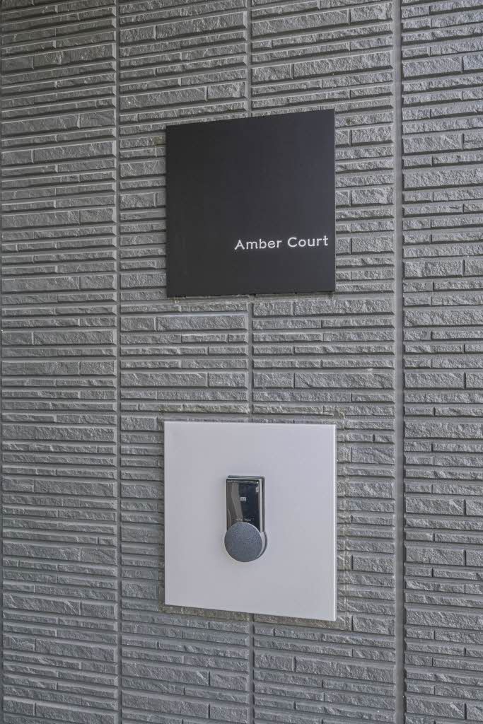 Ａｍｂｅｒ　Ｃｏｕｒｔ 102号-14