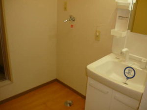 メゾンドＮ 103号-4