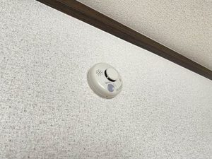 ハイツ西新井 202号-11