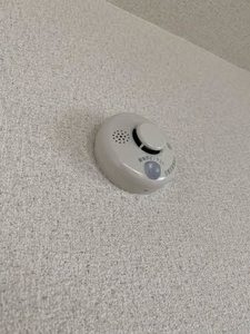 ジュピター五橋 302号-11