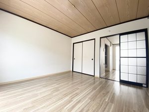 ゼルコバ 202号-3