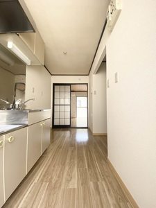 ゼルコバ 202号-5