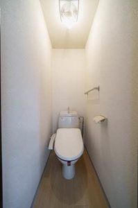 ラフォーレハイツ 201号-9