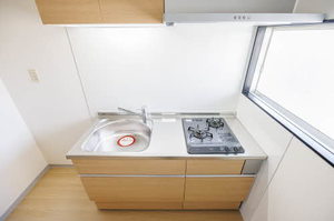 メゾン・ド・吉成 101号-5