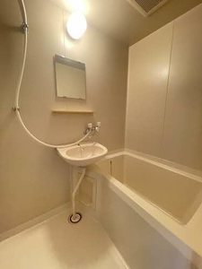 Ｅｘｃｅｌｉｎａ　ＩＯ 103号-11