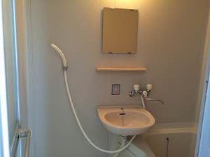 Ｅｘｃｅｌｉｎａ　ＩＯ 206号-9