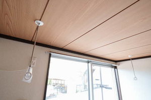 レジデンス樹 103号-11