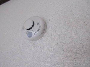 ＣＯＺＹ　ＡＬＬＥＹ　Ａ 102号-11