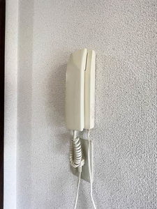 ＣＯＺＹ　ＡＬＬＥＹ　Ａ 105号-10