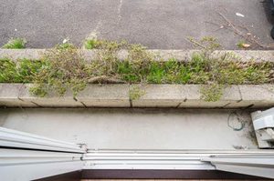 ＣＯＺＹ　ＡＬＬＥＹ　Ａ 106号-11