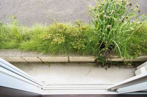 ＣＯＺＹ　ＡＬＬＥＹ　Ａ 107号-11