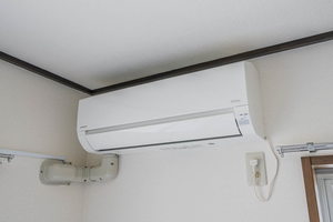 ＣＯＺＹ　ＡＬＬＥＹ　Ａ 201号-11