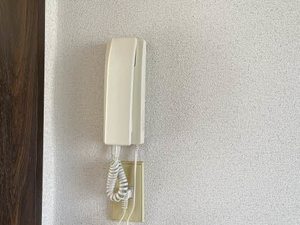 ＣＯＺＹ　ＡＬＬＥＹ　Ａ 205号-11