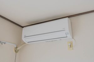 ＣＯＺＹ　ＡＬＬＥＹ　Ｃ 203号-11