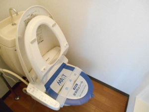 グリーンヒルズCHIDA-B 202号-10