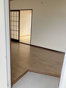 コスモス　１ 202号-4