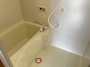 コスモス　１ 202号-5