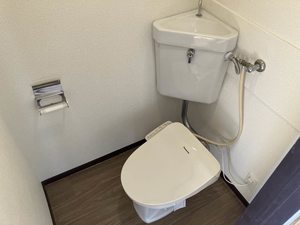 コスモス　１ 202号-6