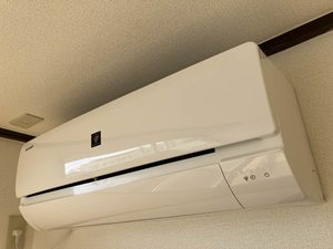 コスモス　１ 202号-9