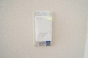 ルネサンスコート 102号-8