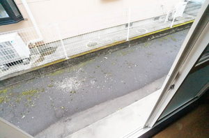 ルネサンスコート 102号-11