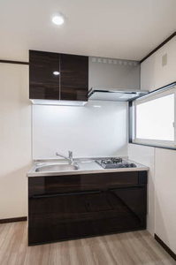 Ｓｕｎ　Ｈｉｌｌ　Ｍ．Ｍ 101号-3