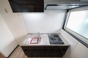 Ｓｕｎ　Ｈｉｌｌ　Ｍ．Ｍ 101号-4