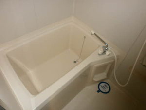 ＳＵＮ　ＦＯＲＥＳＴ 102号-10